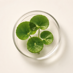 Centella Asiatica